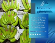 Màng PE foam đục lỗ thông khí bọc nông sản giá sỉ