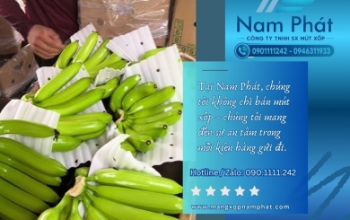 Địa chỉ gia công mút xốp PE foam đục lỗ bọc nông sản