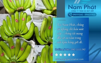Màng PE foam đục lỗ thông khí bọc nông sản giá sỉ